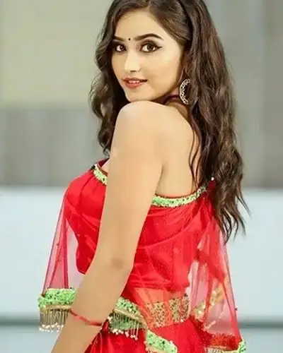 Call Girls Service Padrauna